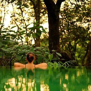 Resort Wayanad Wild - Rainforest - A Cgh Earth Experience